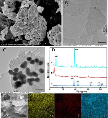 In situ reduction of gold nanoparticles-decorated MXenes-based electrochemical sensing platform for KRAS gene detection